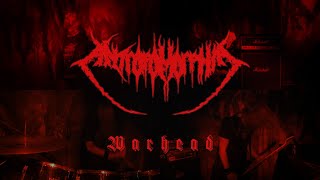 AntropomorphiA - Warhead (COVER)