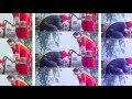 most popular whatsapp status Whatsapp Status Video Download Free