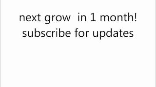 im back! next grow soon!