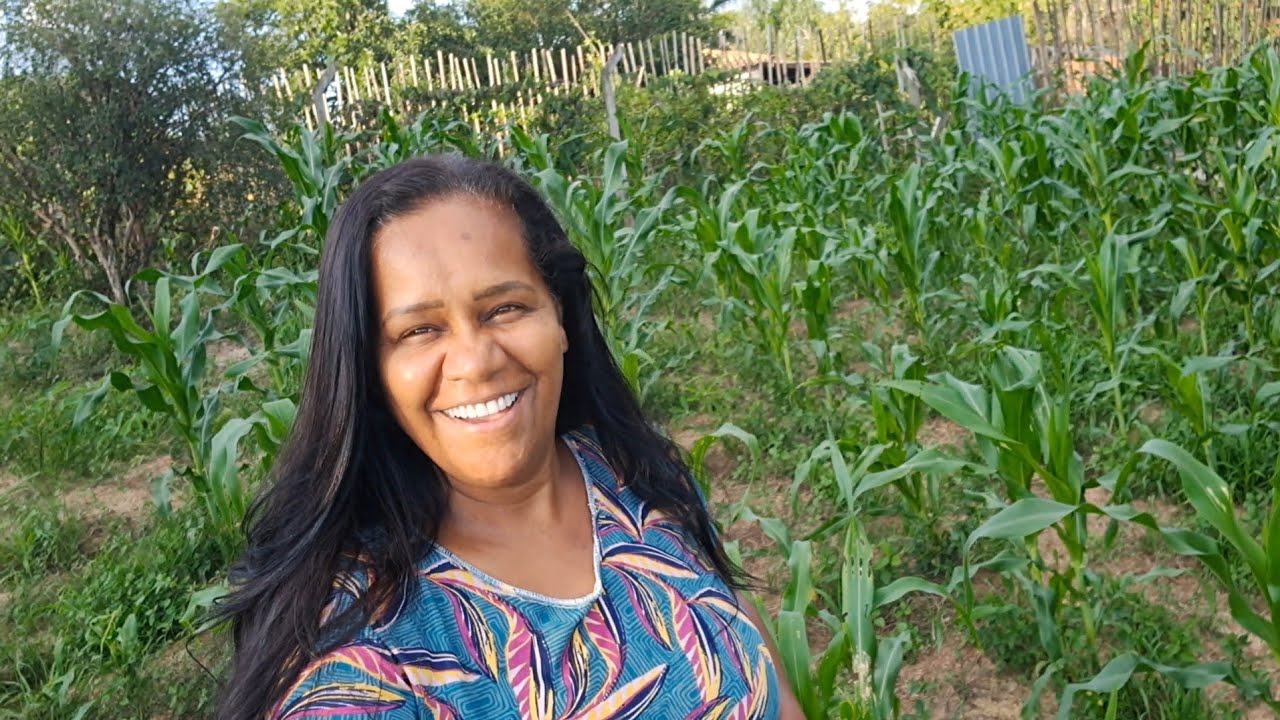 VIDA no sítio pintando a lage e mostrando os milhos