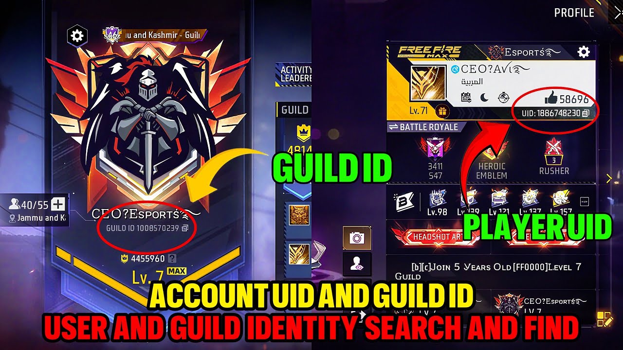 Free Fire Uid Offical How To Find Uid & Guild Id In Free Fire | How To Search Uid & Guild Id ...