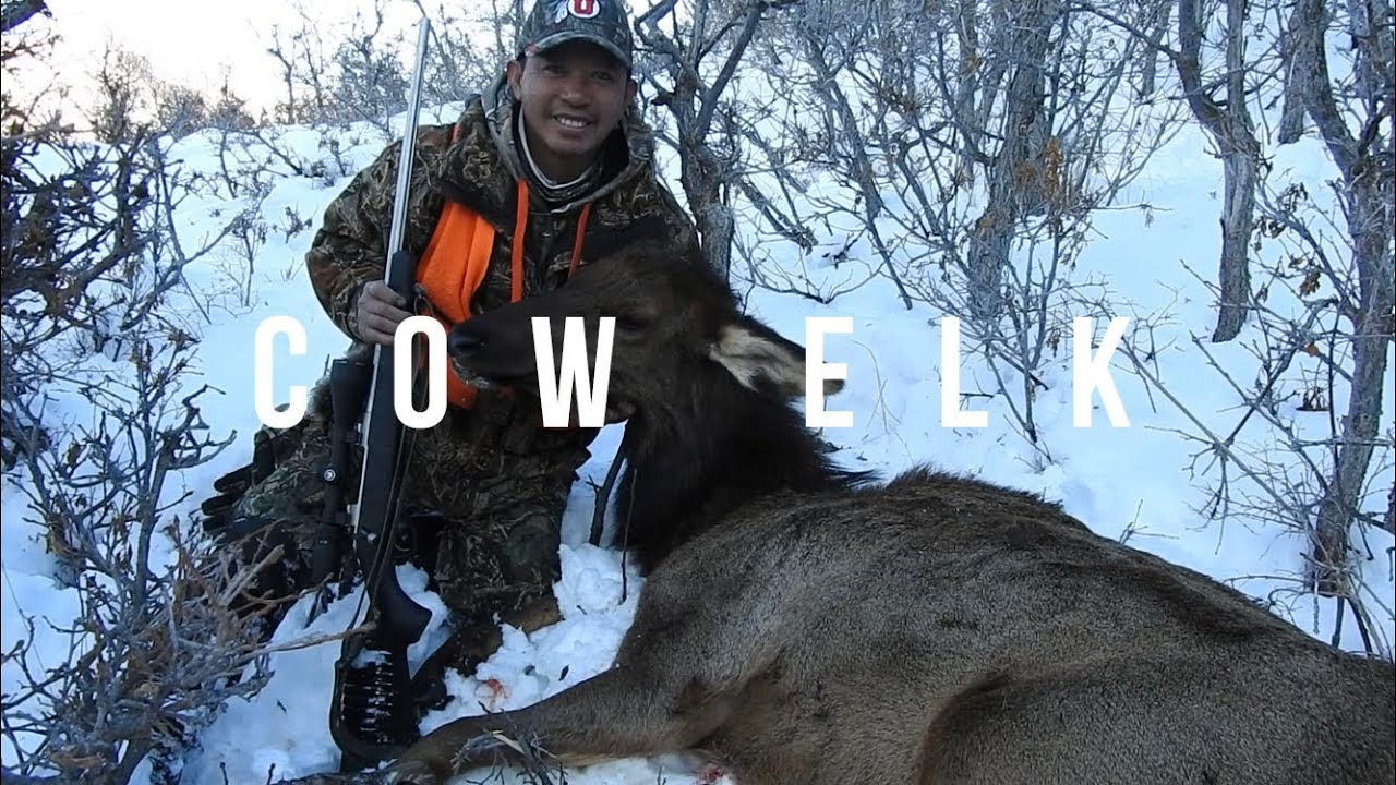 late-season-cow-elk-hunt-with-my-pops-youtube