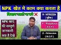 NPK काम कैसे करता है सम्पूर्ण जानकारी देखे | npk lagane ka fayda #npk #farming #npk_fertilizer