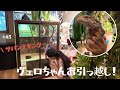 #45 サバンナモニターのヴェロちゃんお引っ越し！ ／ Veronica’s new house !