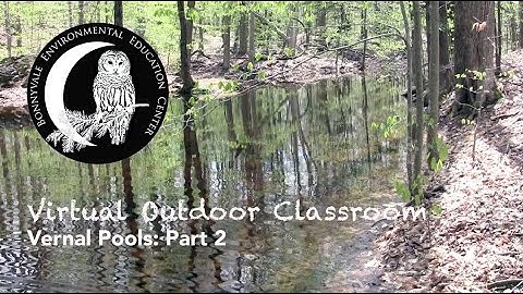 Vernal Pools Part 2