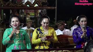 senggreng 9_srampat TARDI LARAS