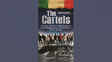 The Dangerous World of Drug Cartels #shorts #shortsfeed #youtubeshorts