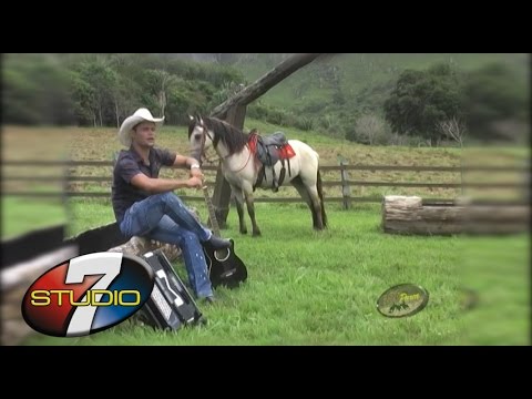 BANDA 100 PAREA Vaqueiro novo