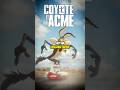 The ORIGINAL Coyote vs ACME! #looneytunes #tinytoons #wileecoyote #bugsbunny #daffyduck