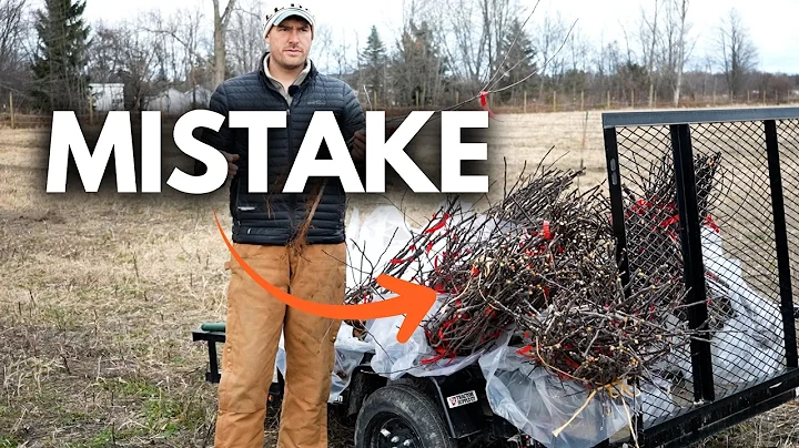 Don’t Plant Fruit Trees if You Make These Planting Mistakes 