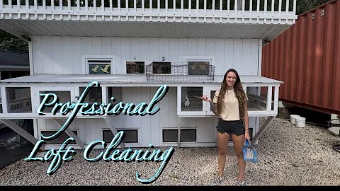 is this the cleanest pigeon loft ever?