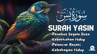 Murottal Merdu Surah Yasin | NGAJI MERDU PENGHAPUS SEGALA DOSA, PELANCAR REZEKI | NGAJI