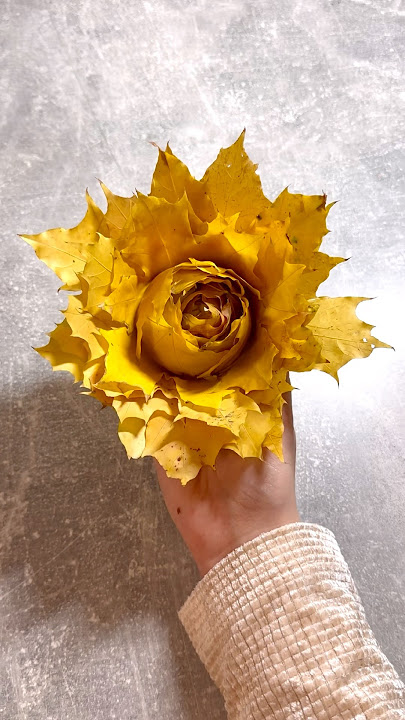I made a rose from fallen leaves because autumn deserves to bloom too 🌹🍂