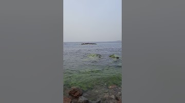 تلاوة من شاطئ "جمبار " أواخر سورة البقرة 😊