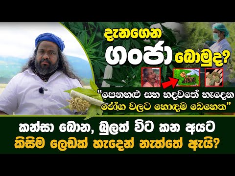 මේ දේවල් දැනගෙන කන්සා බොමුද? | Anoj De Silva