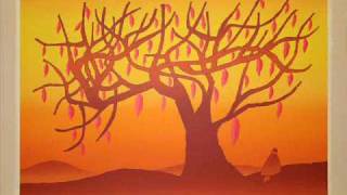 Vignette de la vidéo "Degli alberi - L'aura"