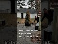 X-mas Tree Disposal