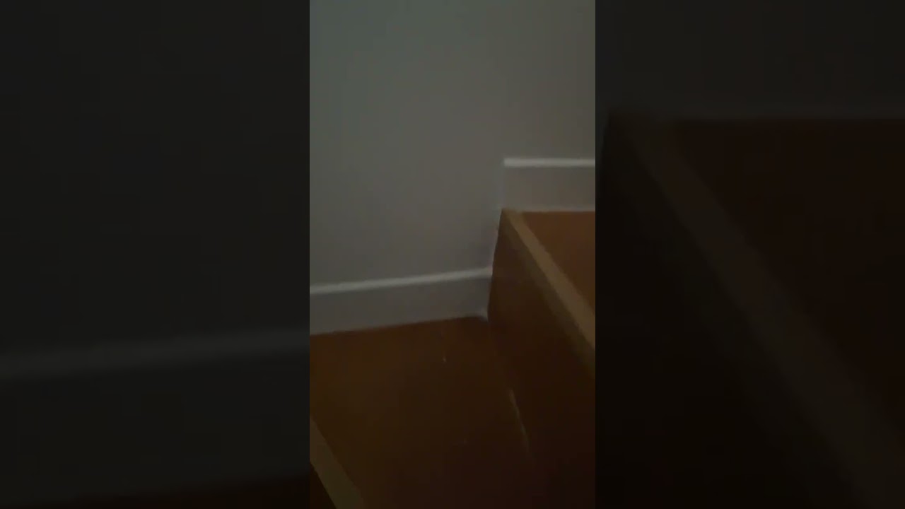 Vidéo Location appartement 5&nbsp;pièces 78&nbsp;m² Andilly (95580)