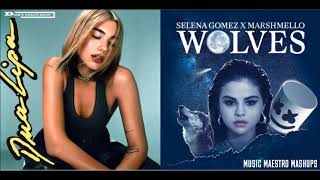 Songs used: 1) don't start now - dua lipa [from "future nostalgia"] 2)
wolves selena gomez & marshmello "rare"] hope you guys enjoy!