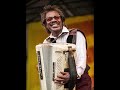 Buckwheat Zydeco, HOT TAMALE BABY