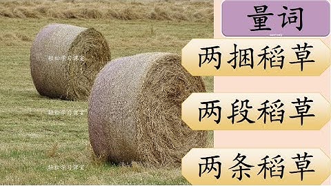 量词练习15 Measure Words Exercise Learn Chinese Measure Words 块kuai 款kuan 粒li 捆kun 批pi 列lie 排pai 轮lun