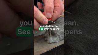 Steel Wool Can Be Dangerous!