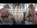 Damaged Fried Blonde to Healthy Golden Brunette - how protein destroyed her hair - hair tutorial