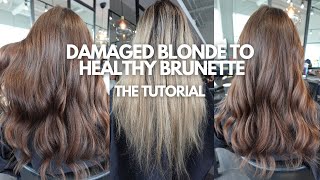 Damaged Fried Blonde to Healthy Golden Brunette  how protein destroyed her hair  hair tutorial