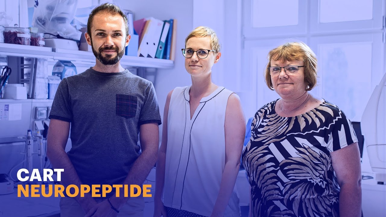 New molecules from IOCB Prague decrease appetite, protect the brain against Alzheimer disease