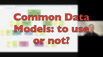 006 Common Data Models: to use or not?