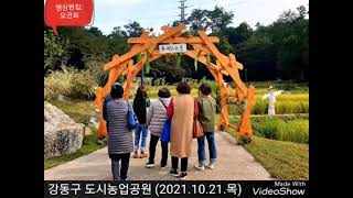 강동구도시농업공원 영상