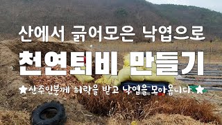 그 많은 낙엽은 어디서 왔나? 이룸농장 보물 1호, 천연퇴비 만들기,  우리 퇴비안에는 뭐가 들었나. ★산주인의 허락하에 산에 들어갑니다★