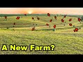 Our Farm Is Expanding (Our Biggest Crop EVER!)