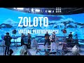 ZOLOTO -  XR concert