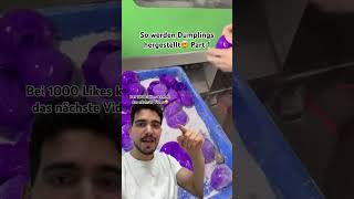WIR SCHAUEN IN EINE DUMPLING FABRIK IN CHINA REIN🤯😍 (Part 1)