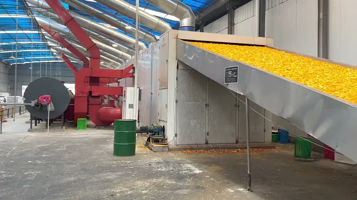 Large Fruit Dryer Machine- Orange peel dried as a ...