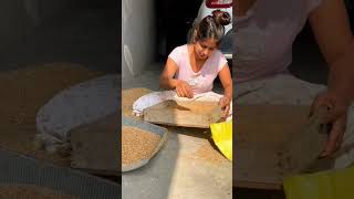 Otilia - Jaanu jaanu (Dee pete #yearofyou #trending #tiktok #viralreels #shorts