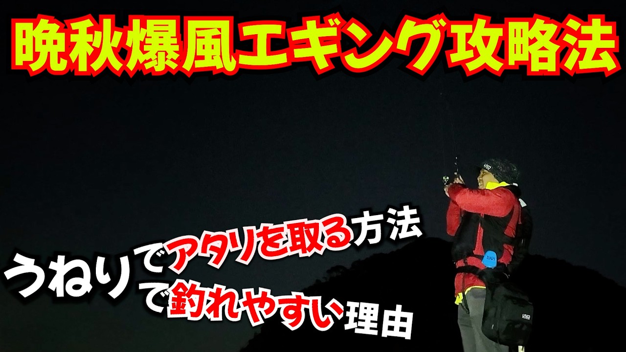 エギング攻略法！爆風後のうねりは場所により大チャンスな訳！うねり時