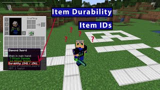 Show Minecraft item durability and item ids