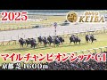 【マイルチャンピオンシップ・GⅠ】マイルCS 京都 芝 1600m 2025 レース 【みんなのKEIBA】