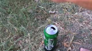 Bi Çekcen Bi Sıkcan...