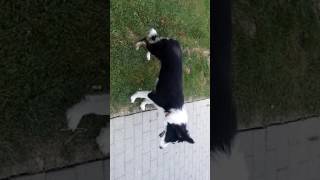 Destrozos en cizur menor