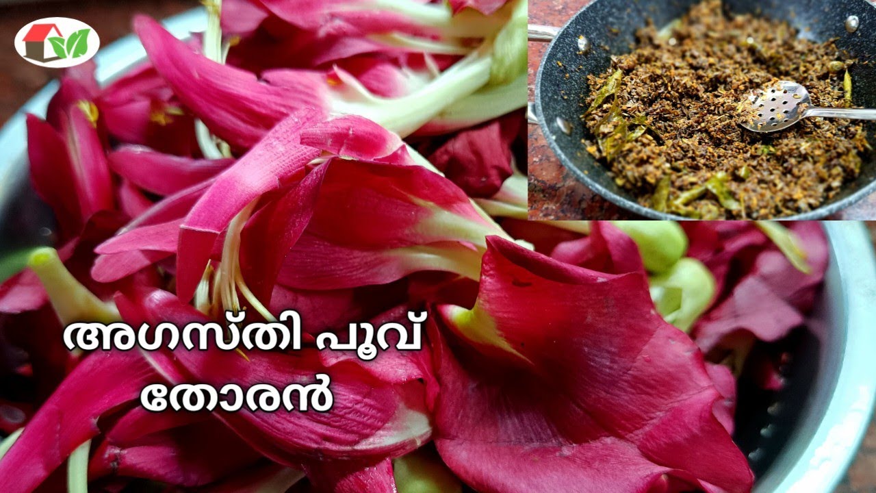💯അഗസ്തി പൂവ് തോരൻ / Agasti poovu thoran recipe/അഗസ്തി ചീര തോര ...