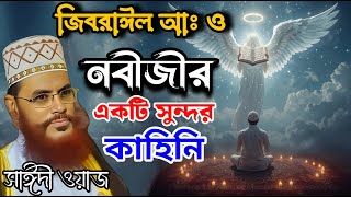 যখন ফেরেশতা জিবরাঈল আঃ এলেন নবীজীর কাছে তারপরে কি কথাবার্তা হয়েছিল নবীজির সাথে ❤️‍🩹 সাঈদী ওয়াজ