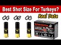 When to hunt turkeys with 4 5 or 6 shot  real data