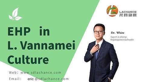 EHP in L. vannamei culture | vannamei shrimp farming General | introduction of EHP in shrimp farming