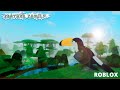 Botei um ovo!!! | Feather Family | Roblox