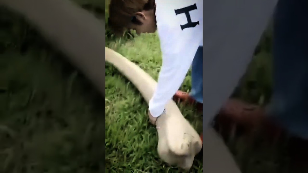 The way he throw his footwear😂Kim Taehyung(BTS V)BTS funny moment😂BTS Bon Voyage