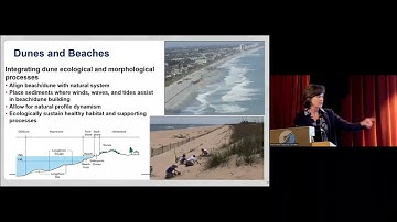 04 International Guidelines on Natural and Nature Based Features for Flood Risk Management