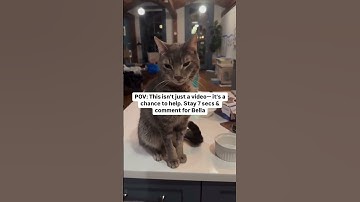 For any support please click the link in our bio to help Every pledge you make is deeply appreciated